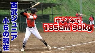 【規格外】183cm 87kg…あの西武ジュニアの小6の現在。