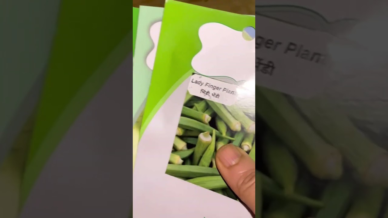 Landscape Gardening Expo 2023