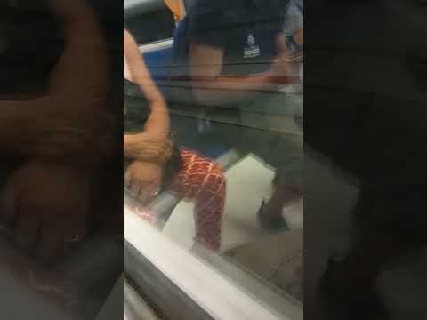 Taking a Ride With the Metro 5 M5 To Zara Station