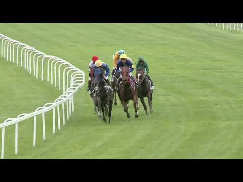 2021.08.01. 03. futam - EPSOMI HENDIKEP (II.o.)