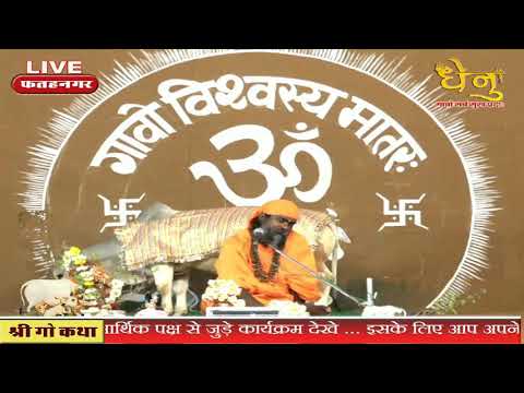 YouTube Fallback Thumbnail