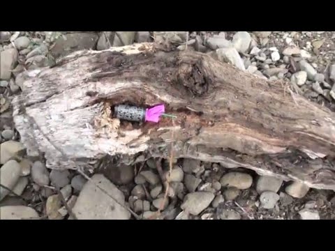 Mega odpalanie petard na 50 dni do sylwestra!