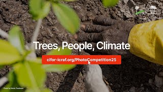 CIFOR-ICRAF Photo Competition 2025: Trees, People, Climate