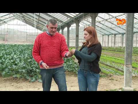 Ne Shtepine Tone, 31 Janar 2017, Pjesa 4 - Top Channel Albania - Entertainment Show