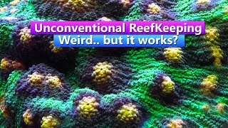 Unconventional ReefKeeping -Weird.. but it works?