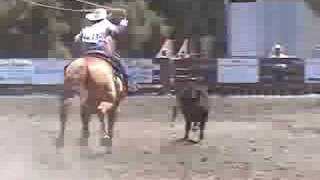preview picture of video '2008 WOODSIDE RODEO GIRLS BREAKAWAY ROPING'