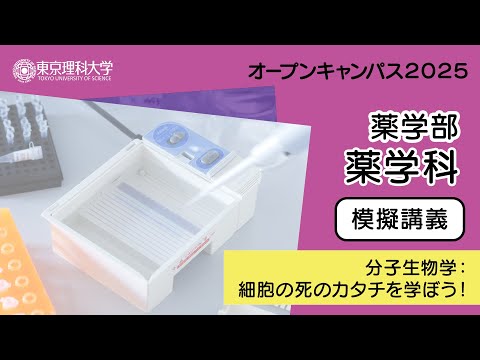 東京理科大学 オープンキャンパス2025 薬学部 薬学科 模擬講義