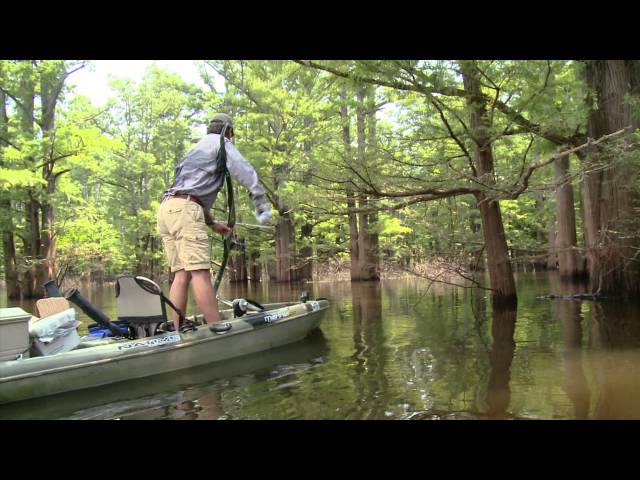Kayak Bowfishing in the Swamp