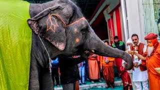 Temple video