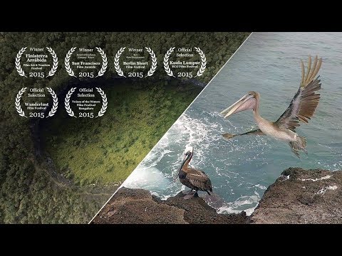 Diving Galapagos #1 – Introduction