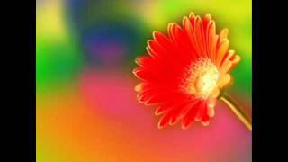 rainbow connection by sarah mclachlan