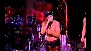 Red Hot Chili Peppers Sexy Mexican Maid