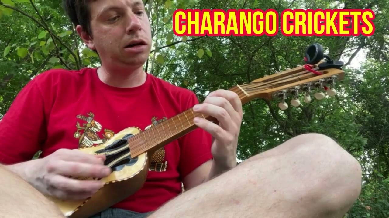 Charango Crickets | Psychedelic Sounds on a South American Lute