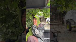 Download lagu Hasil hunting dan Evakuasi Odgj di Tasikmalaya #yayasanmentarihati #odgj #memanusiakanmanusia mp3 Download lagu Hasil hunting dan Evakuasi Odgj di Tasikmalaya #yayasanmentarihati #odgj #memanusiakanmanusia mp3