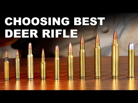Choosing Your Best Deer Cartridge