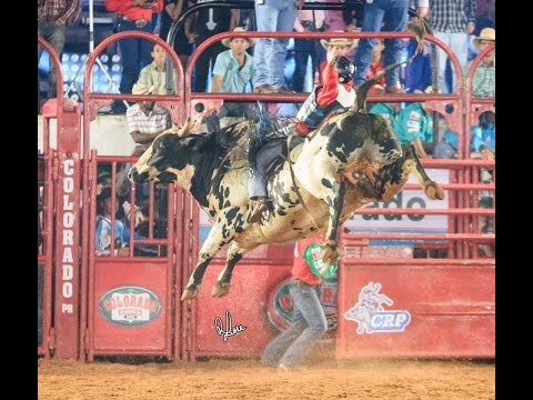 Minuto do Rodeio 34: 41ª Festa do Peão de Colorado 2015 - Round I
