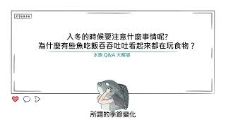 [水族大大不要聽]S2Ep37 入冬的時候要注意什麼事情呢?/為什麼有些魚吃飯吞吞吐吐看起來都在玩食物？