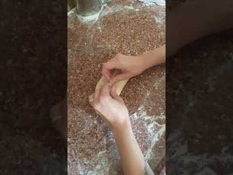 ורה מסבירה 2