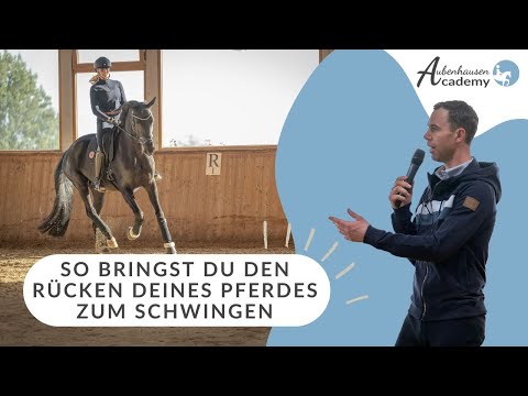 Pferderücken dehnen & lockern – Der TIPP für mehr Losgelassenheit! 🐴💡