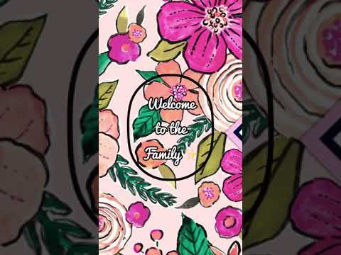 Welcome home Delta! 😻