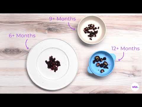 Blackberries-how to feed your baby safely