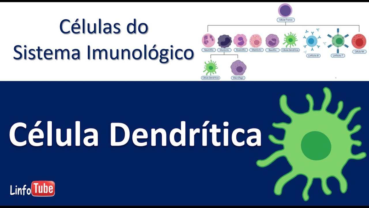 Células Dendríticas