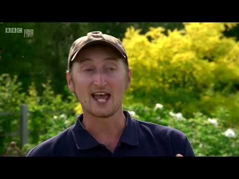 Gardeners World, 2020 Episode 20