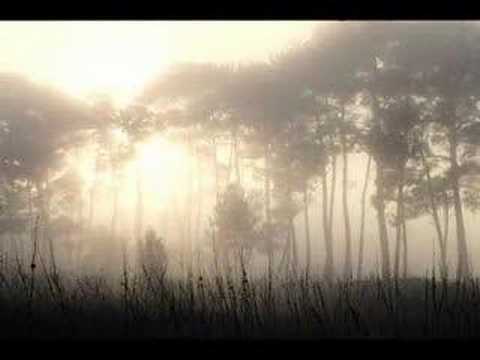 Ancient Pines - Loreena Mckennitt