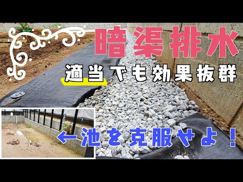 庭で水を節約する: 実践的なヒントとコツ!  庭園