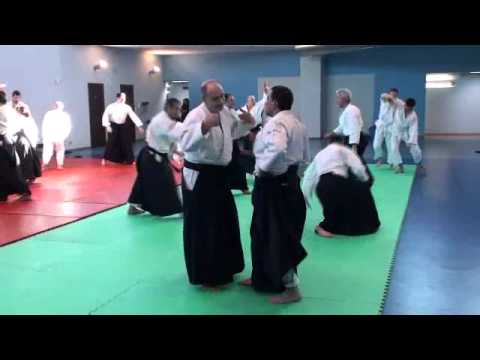 Aikido Philippe Gouttard