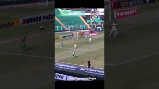 Gol do Camboriú - Nilton (Camboriú 1x0 Chapecoense) Catarinense 11/01/2026