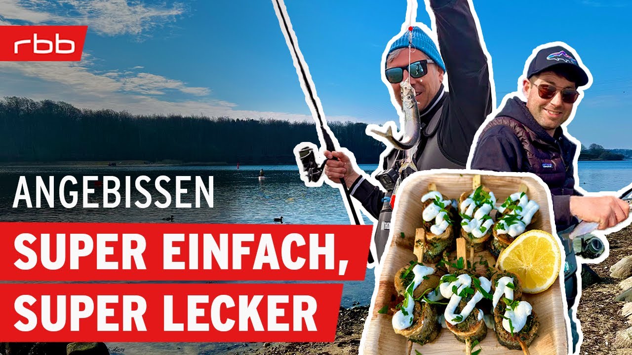 Catch and Cook: Heringe nach Familienrezept | Angebissen #195 | Angelpodcast