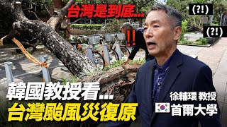 [閒聊] 高雄颱風過後的復原，讓南韓教授嚇到了！