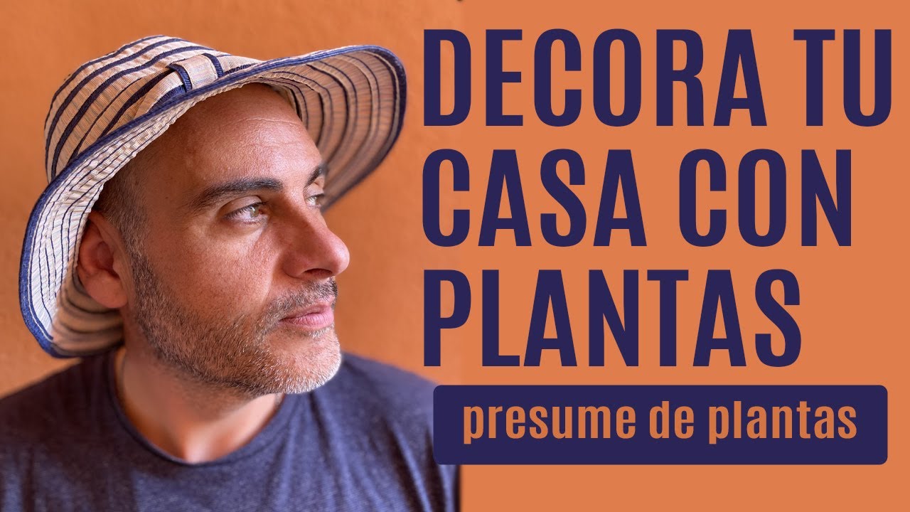 🍀Decorar con plantas dentro de casa | Abel de González