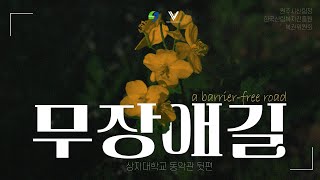 제주도 둘레길?? 상지대에는 무장애나눔길이 있다 !! 이미지