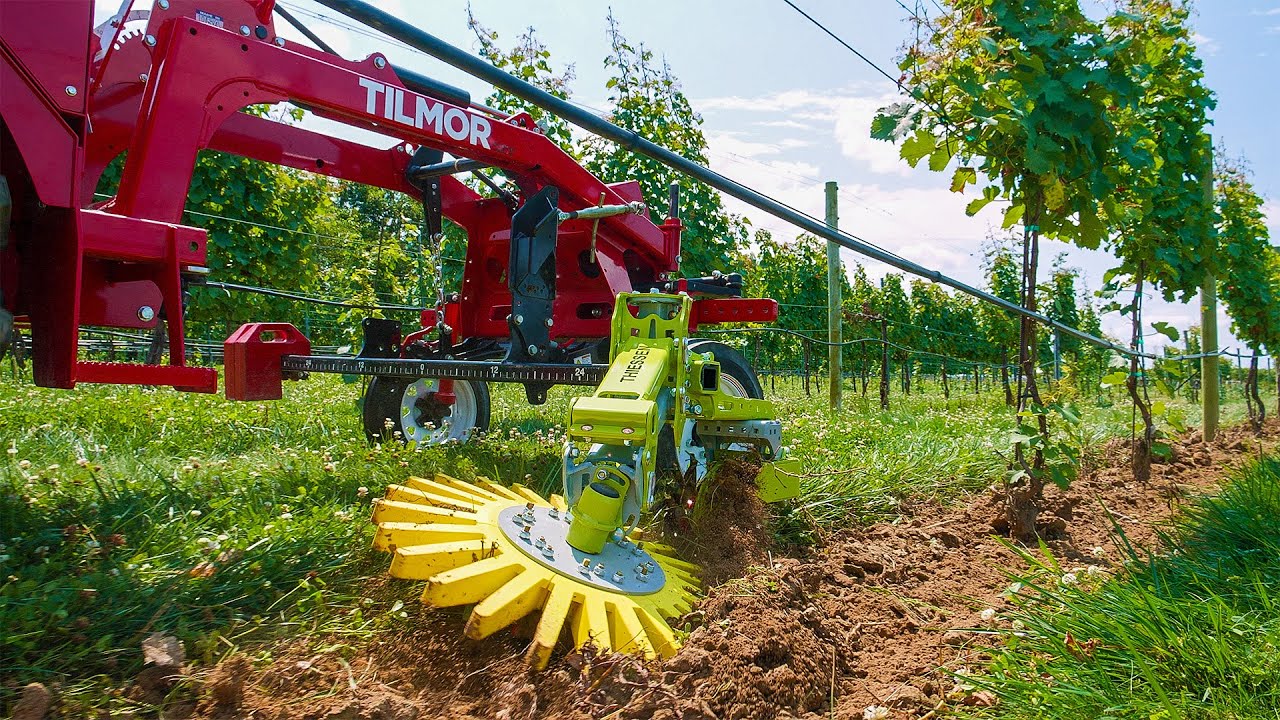 Tilmor Works - Cultivating Vineyards with the ACS