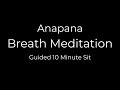 10-Minute Guided Breath Meditation (Anapana)
