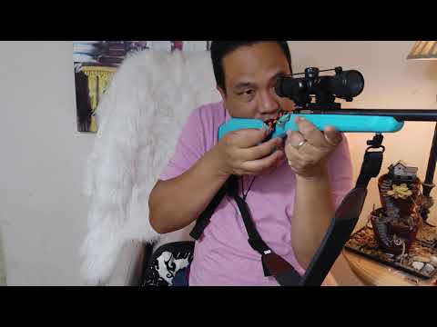 Crickett Precision Rifle