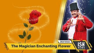 The Magician Enchanting Flower
