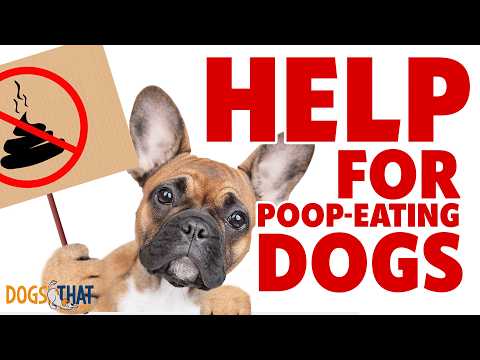Why Do Dogs Eat Poop? Understanding Canine Coprophagia And How To Stop It #279 #podcast