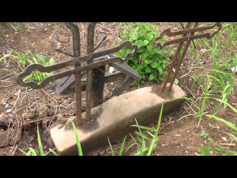 Necropolă, „La Țarinî”, comuna Văleni, sat David, comuna Văleni