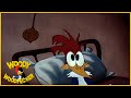 Woody Woodpecker The Coo Coo Bird Full Episodes