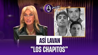 Cinco familias lavan dinero para "Los Chapitos" con esta modalidad de negocio | MLDA