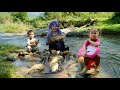 How To Catch Giant River Fish To Sell At The Market Cook Fish Porridge For Children To Eat