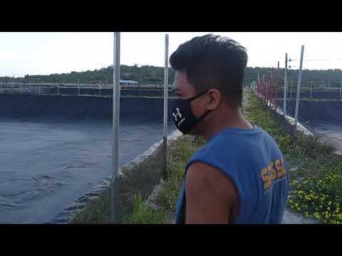 cummins NTA 855 G test load