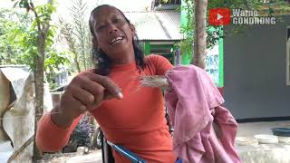 Download lagu 🎣Umpan Jitu LELE harian - Air Keruh‼️Coba Pakai ini mp3