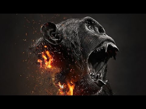 Manki aka zéessó - Főnix (official music audio)