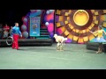 Preshow Dog Tricks MP4