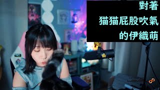 [閒聊] 對著貓屁股吹氣的伊織萌