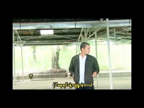 MMC: R Zarni ft. Mee Mee Khae - Shwe Yaung A Shone (ေရႊေရာင္အရွုံး) HD